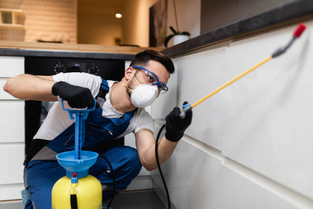 Best Local Pest Control Services  in Long Beach, NY